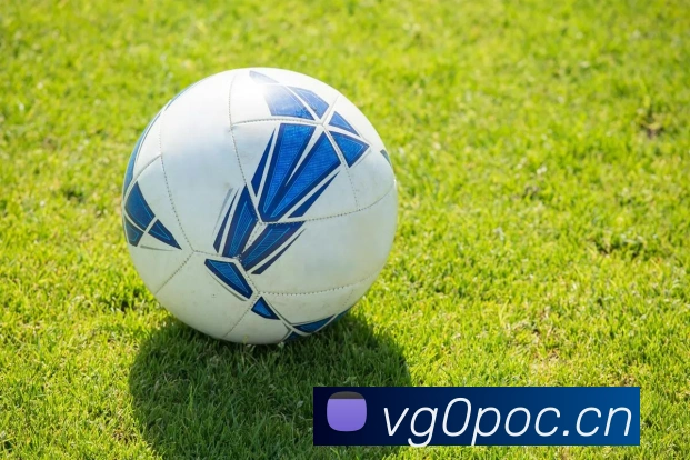 星空软件官网平台生态图